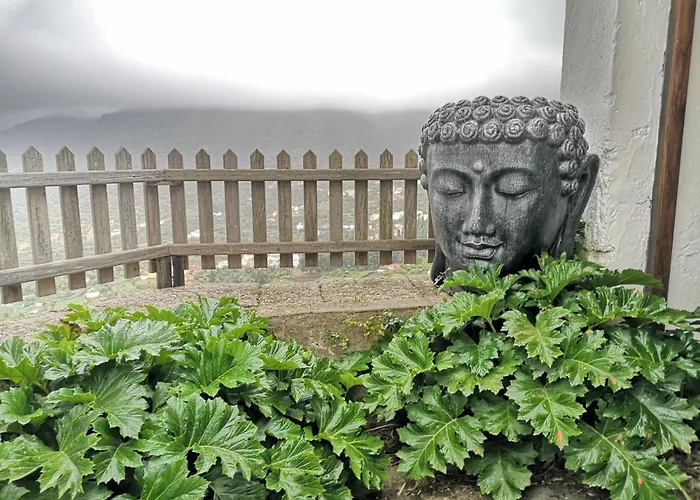 La Cueva Refugio * Λας Πάλμας ντε Γκραν Κανάρια